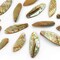 Sea Shell Hand Crafted Leaf Shape 14 Beads (15 x 45mm) - Beige